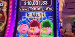 Tips To Win When Playing Piggy Slots Game For Gamers