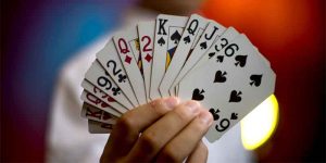 Card Games Bridge: How To Play And Effective Strategies