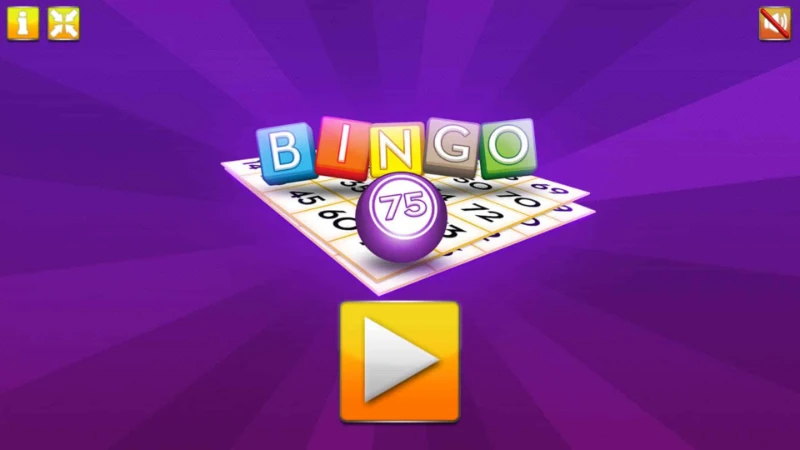 Detailed instructions on how to play Bingo for beginners