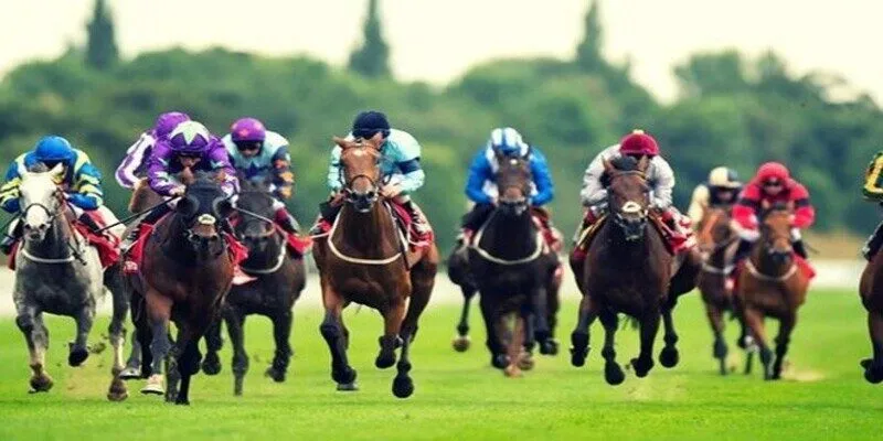 What is Online Horse Racing Betting?