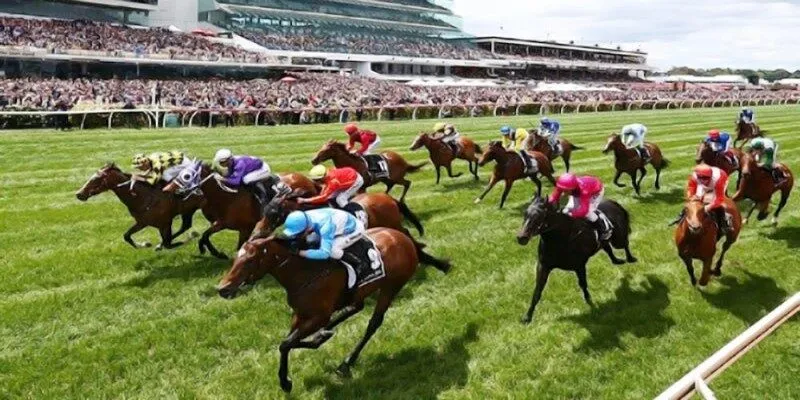 Reasons Why Online Horse Racing Betting Attracts Players