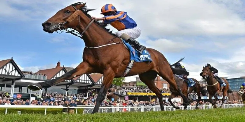 Online Horse Racing Betting Tips and Strategies